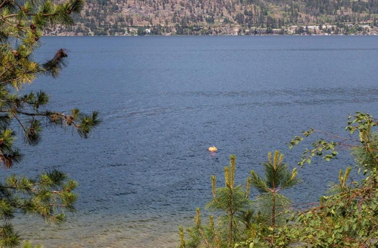 The Blue House Bed And Breakfast Lake Country Extérieur photo
